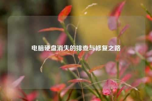 电脑硬盘消失的排查与修复之路