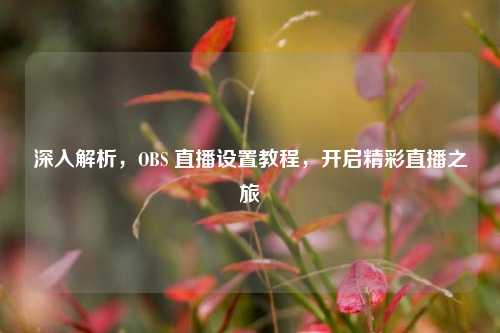 深入解析,OBS 直播设置教程,开启精彩直播之旅