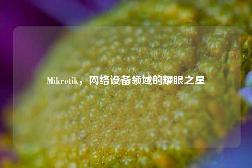 Mikrotik, 设备领域的耀眼之星