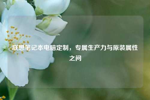 联想笔记本电脑定制,专属生产力与原装属性之问