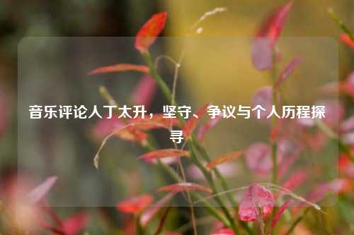 音乐评论人丁太升,坚守、争议与个人历程探寻