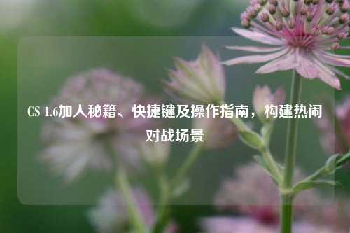 CS 1.6加人秘籍、快捷键及操作指南,构建热闹对战场景