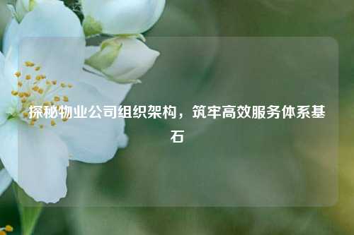 探秘物业公司组织架构,筑牢高效服务体系基石