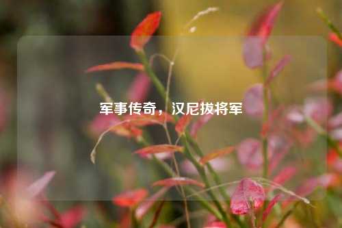 军事传奇,汉尼拔将军