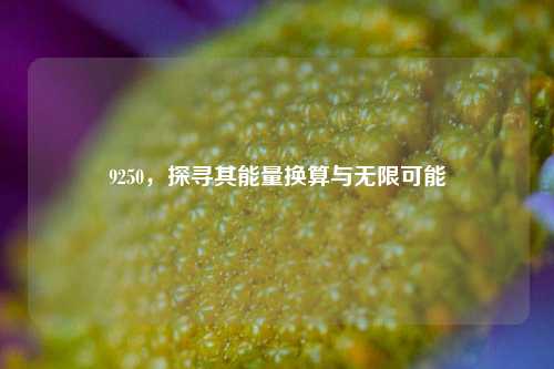 9250,探寻其能量换算与无限可能