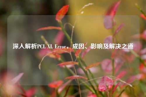 深入解析PCL XL Error,成因、影响及解决之道