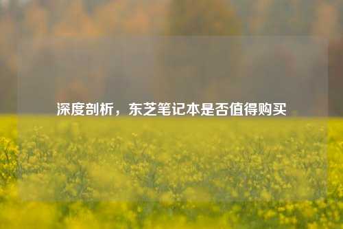 深度剖析,东芝笔记本是否值得购买
