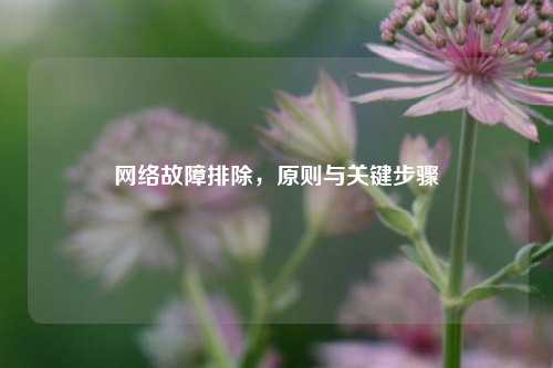 故障排除,原则与关键步骤
