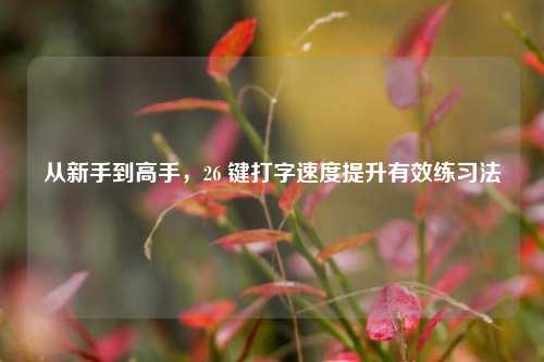 从新手到高手,26 键打字速度提升有效练习法
