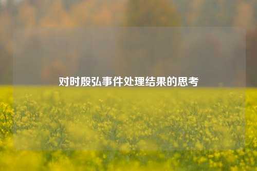 对时殷弘事件处理结果的思考