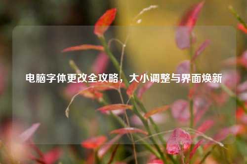 电脑字体更改全攻略,大小调整与界面焕新