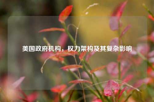 美国 机构,权力架构及其复杂影响