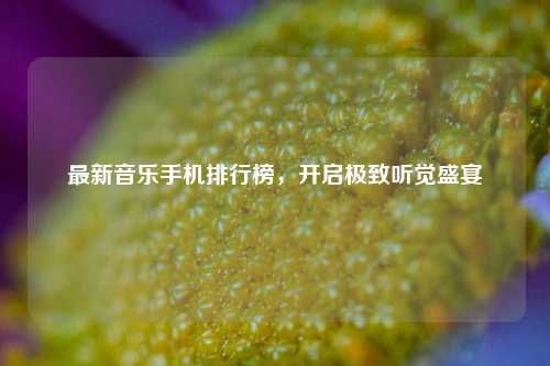 最新音乐手机排行榜,开启极致听觉盛宴