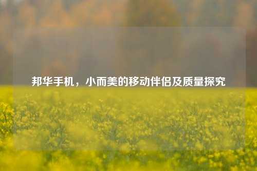邦华手机,小而美的移动伴侣及质量探究