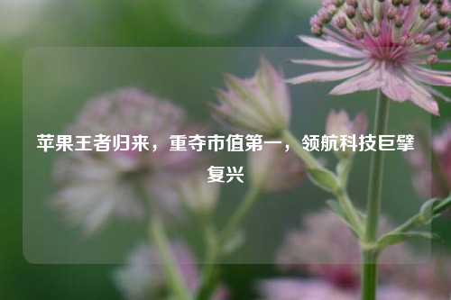 苹果王者归来,重夺市值之一,领航科技巨擘复兴