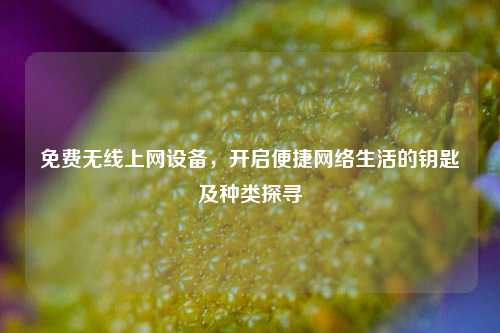 免费无线上网设备,开启便捷 生活的钥匙及种类探寻