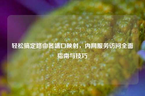轻松搞定路由器端口映射,内网服务访问全面指南与技巧