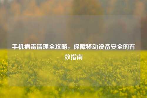 手机病毒清理全攻略,保障移动设备安全的有效指南