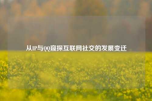 从IP与 窥探互联网社交的发展变迁