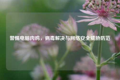 警惕电脑肉鸡，病毒解决与     安全威胁防范