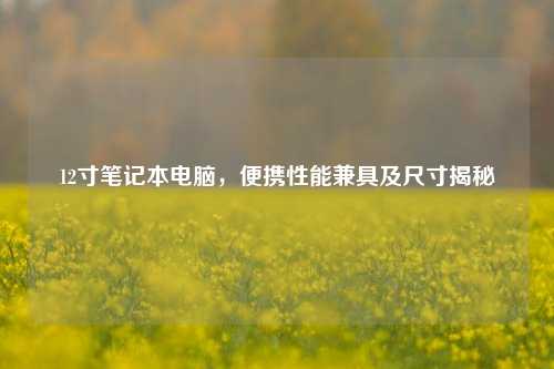 12寸笔记本电脑,便携性能兼具及尺寸揭秘