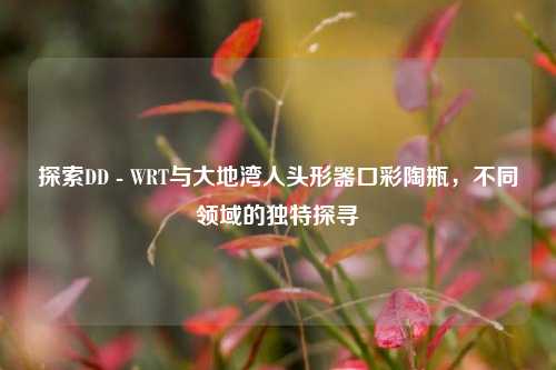 探索DD - WRT与大地湾人头形器口彩陶瓶,不同领域的独特探寻