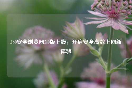 360安全浏览器5.0版上线,开启安全高效上网新体验