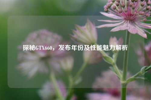 探秘GTX660,发布年份及性能魅力解析