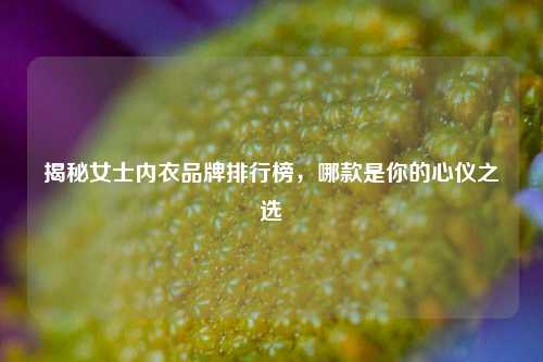 揭秘女士内衣品牌排行榜,哪款是你的心仪之选