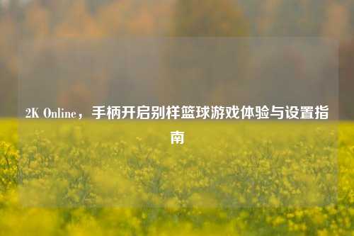 2K Online,手柄开启别样篮球游戏体验与设置指南