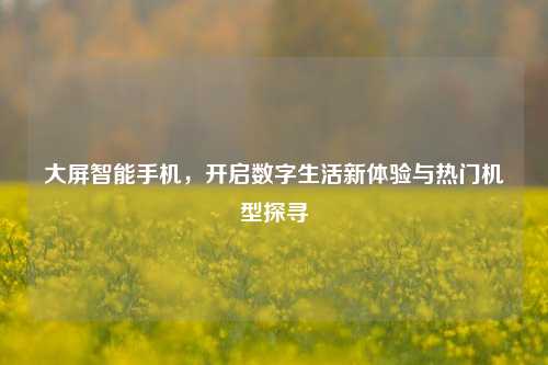 大屏智能手机,开启数字生活新体验与热门机型探寻