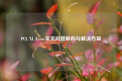 PCL XL Error常见问题解析与解决方案