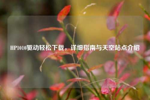 HP1010驱动轻松下载,详细指南与天空站点介绍