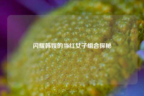 闪耀韩娱的当红女子组合探秘