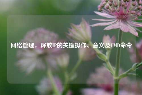 管理,释放IP的关键操作、意义及CMD命令