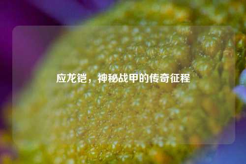 应龙铠,神秘战甲的传奇征程