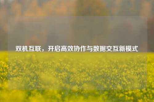 双机互联,开启高效协作与数据交互新模式