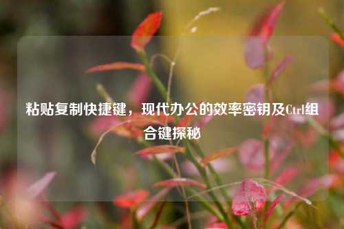 粘贴复制快捷键,现代办公的效率密钥及Ctrl组合键探秘