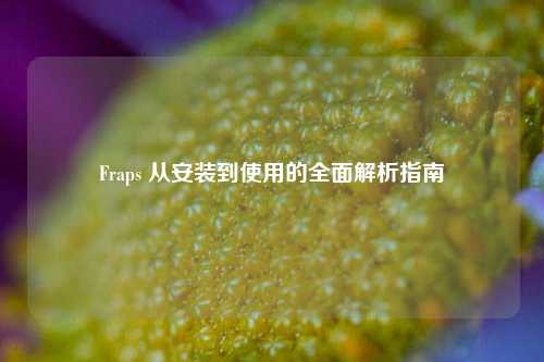 Fraps 从安装到使用的全面解析指南