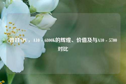 昔日APU,A10 - 6800K的辉煌、价值及与A10 - 5700对比