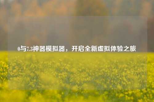 0与7.3神器模拟器,开启全新虚拟体验之旅