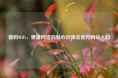 猎豹WiFi,便捷 的贴心伙伴及官方网站入口