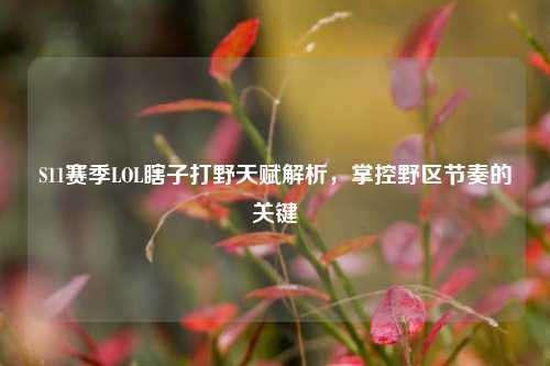 S11赛季LOL瞎子打野天赋解析,掌控野区节奏的关键