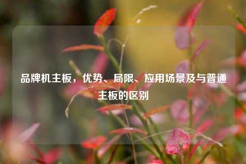 品牌机主板,优势、局限、应用场景及与普通主板的区别
