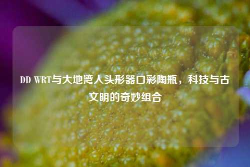 DD WRT与大地湾人头形器口彩陶瓶,科技与古文明的奇妙组合