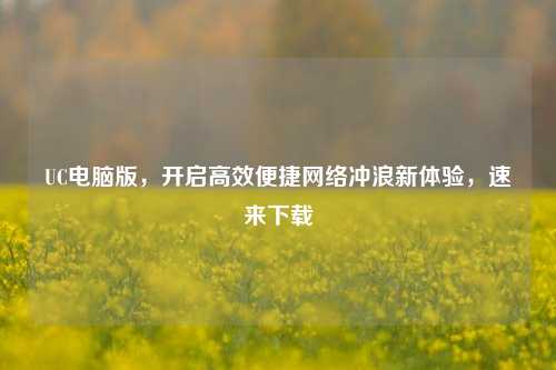 UC电脑版,开启高效便捷 冲浪新体验,速来下载