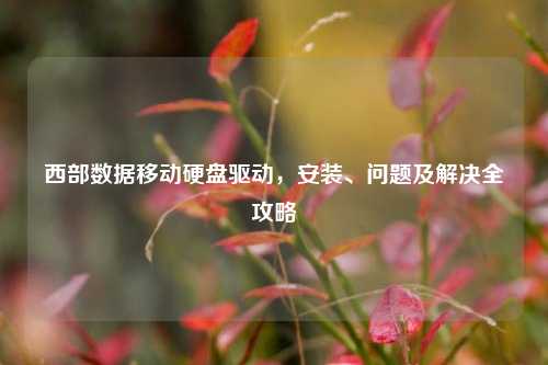 西部数据移动硬盘驱动,安装、问题及解决全攻略