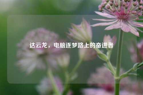 达云龙,电脑逐梦路上的奋进者