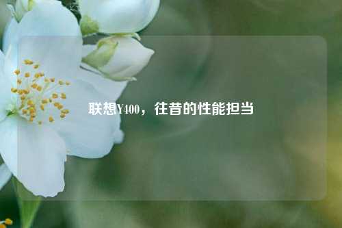 联想Y400,往昔的性能担当