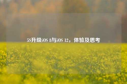 5S升级iOS 8与iOS 12,体验及思考
